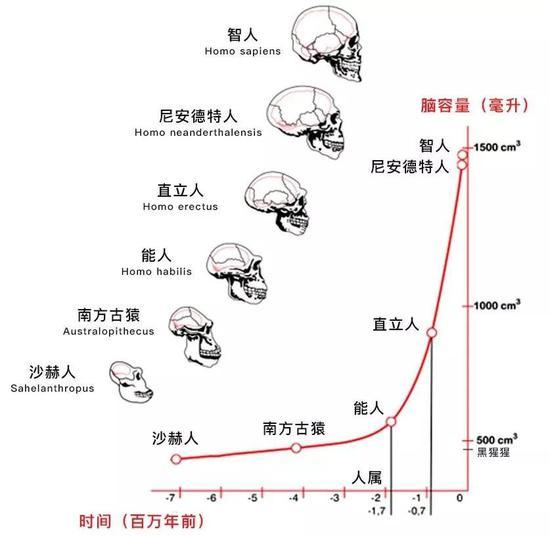 大概250万年前,地球气候发生了显著的变化。