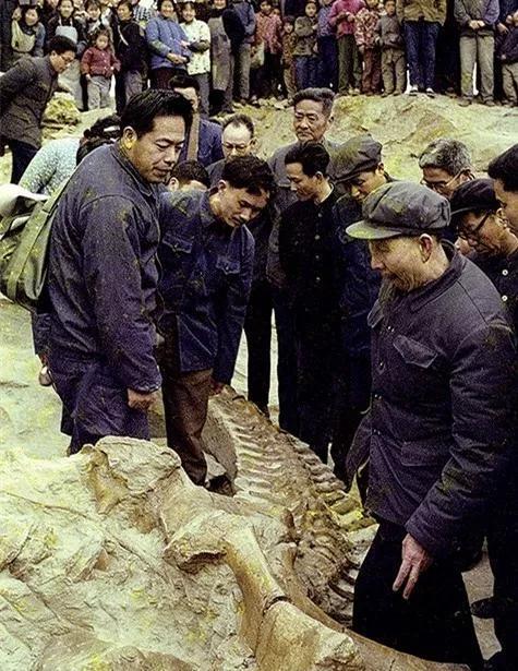 1981年,董枝明(左一)在自贡恐龙化石挖堀现场考察,出处:自贡网