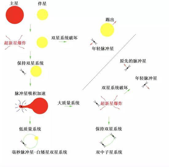 中子星-白矮星和双中子星双星系统演化模型http://www.jb.man.ac.uk/distance/frontiers/pulsars/lorimer-review.pdf