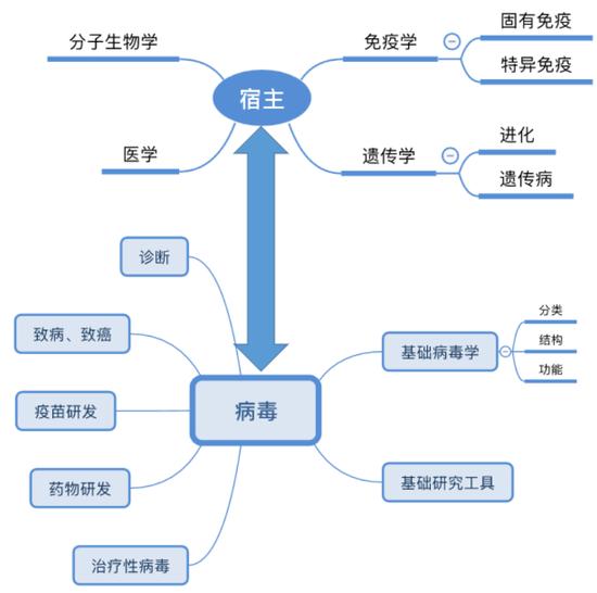 图2。 病毒学研究的主要内容及相关学科(作者作图)。包括病毒的结构、分类和演化;病毒的复制过程;病毒与宿主的相互作用及致病、致癌性;病毒研究技术(如病毒分离和培养)