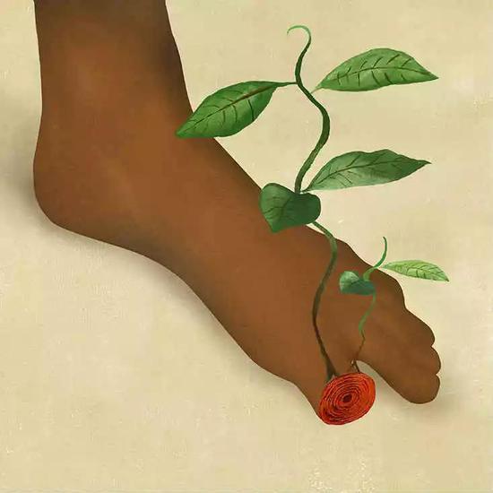 图源:Ellen Weinstein
