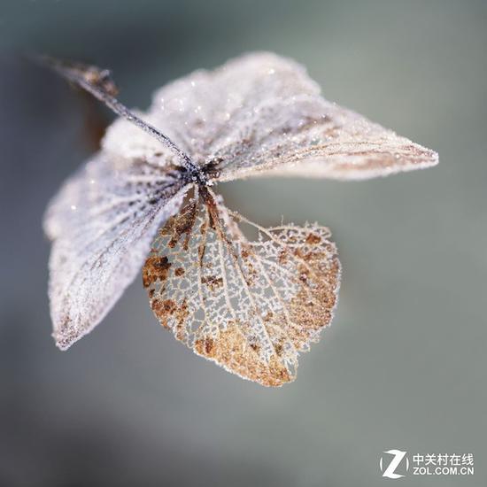 保证安全快门速度之上,才能有更多可能拍摄清晰的画面