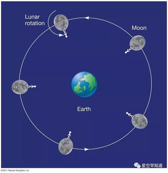 图一:月球的“同步自转”现象:由于月球自转的方向与周期,与它自己围绕地球公转的方向和周期是一样的。这样导致的一个结果是,月球永远以同一面朝向地球。换句话说,我们在地球上只能看到同一面的月球,我们看不到它的背面