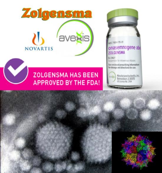 图17。 史上最贵药物,用于治疗脊髓性肌萎缩的AAV病毒
