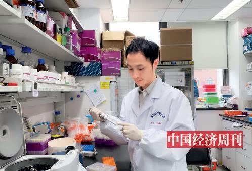中科院神经科学研究所研究员杨辉在做基因研究(“中国经济周刊”记者宋杰摄)