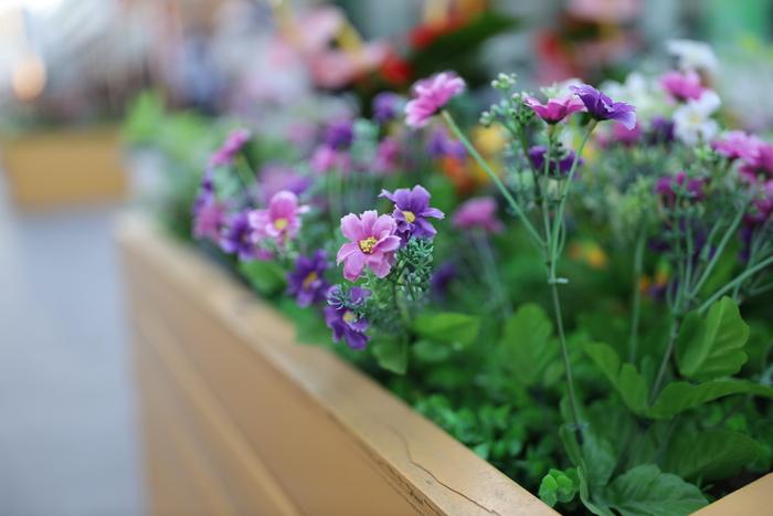 焦距:28mm 光圈:f/1.4 ISO感光度:100