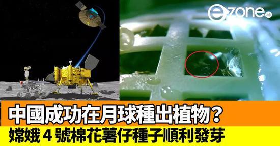 由重庆大学牵头研制的“嫦娥4号”生物学实验,成功在月球背面培育出棉花种子胚芽