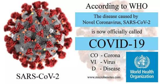 图片引自:https://thebiologynotes.com/2019-ncov-covid-19/