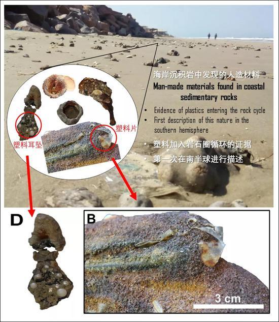 塑料保存在岩石中的实物证据,这处海滩位于巴西南澳格兰德州。