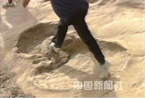 图1 世界最大的恐龙脚印(国家地理科学杂志)