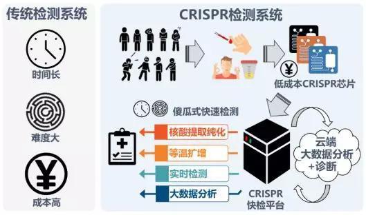 CRISDA检测系统原理(图片来源:研究团队)