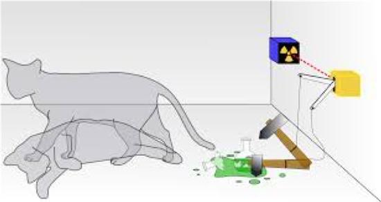 薛定谔的猫思想实验,图自维基百科