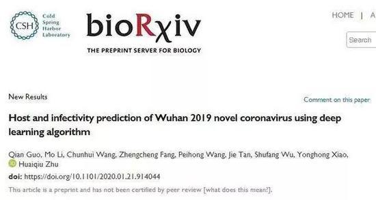 水貂 (图片来源:开源网络)