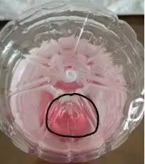 图2:某品牌矿泉水瓶底部(图片来源:作者拍摄)
