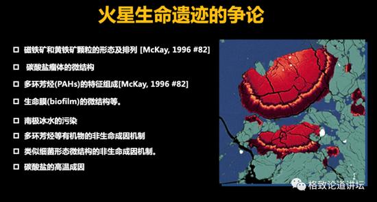 这就是这些细菌的横截面。