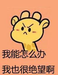 图片来源网络