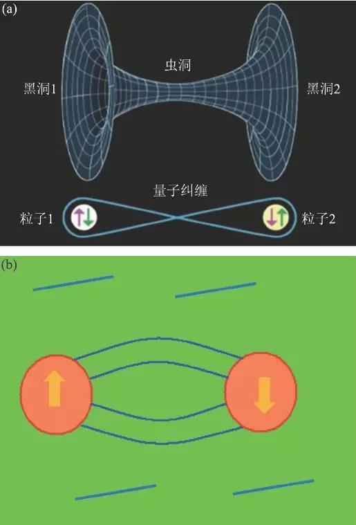 图7 (a)ER=EPR 示意图:远程的虫洞连接和纠缠关联是等价的;(b)我们的一个猜想:真空背景(绿色)中充满了大量的关联(蓝线),正是这种“以太”造成两个相聚遥远的粒子发生纠缠