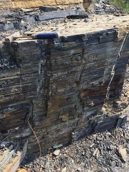 华南宜昌地区的寒武系地层,里面富含海绵、三叶虫等动物化石(图片来源:中国科学院地质与地球物理研究所)