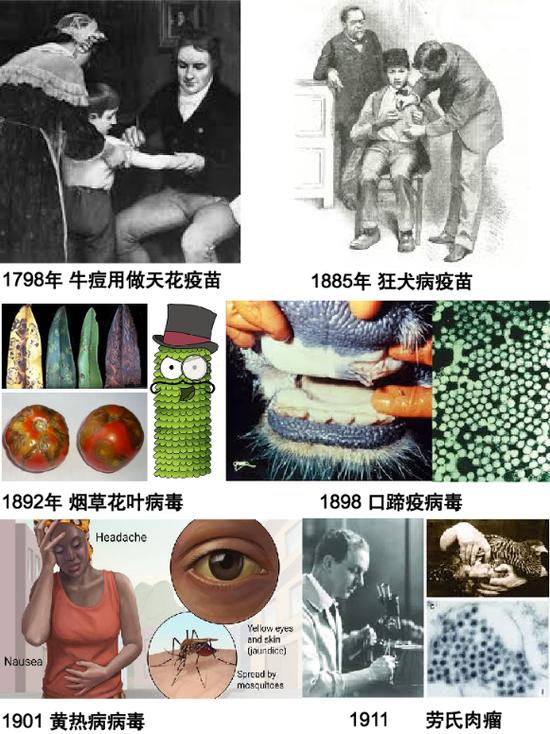 图1。 病毒学发展的一些重要节点(来源:wikipedia等)