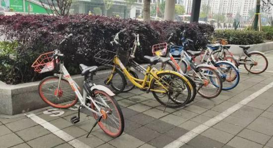 上海市虹口区网红路段甜爱路附近的共享单车停放处
