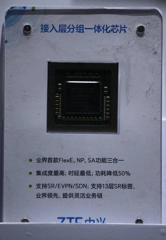 接入层分组一体化芯片