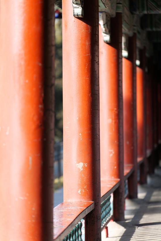 焦距:199mm 光圈:f/4.0 ISO感光度:200