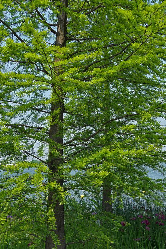 焦距:12.64mm ISO:125 光圈:F7.1 快门:1/160s