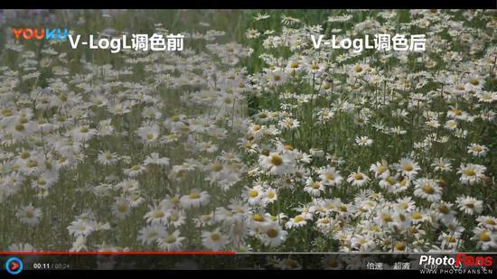 V-LogL视频样片(点击图片查看完整视频)