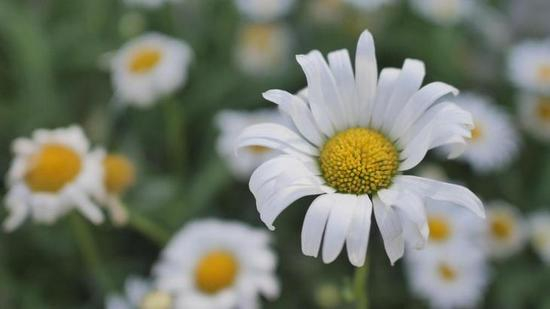 原视频静态截图