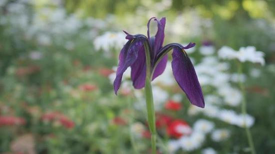 原视频静态截图