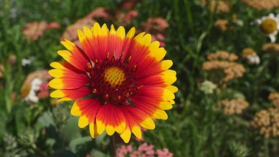 原视频静态截图