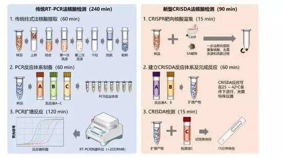 传统PCR技术与CRISDA检测技术对比(图片来源:研究团队)