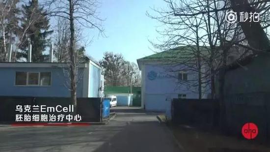 EmCell干细胞治疗中心 来源:aha视频截图