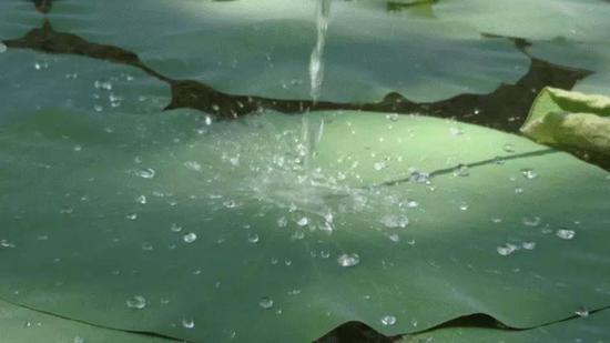 (图片来源:https://commons.wikimedia.org/wiki/File:Flowing_water_in_lotus_leaf_Anigif.gif?uselang=zh-cn#filelinks)