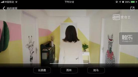 那么,要选择动物还是雨林?