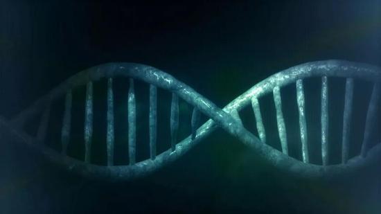 而且据说这四种亚型还能继续细分呢……