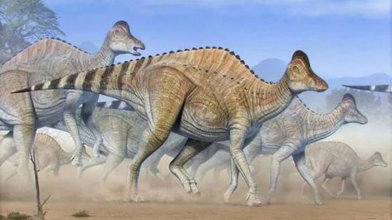 亚冠龙(图片来源:paleontology.us)