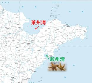 胶州湾地理位置(图片来源:山东省2020版标准地图)