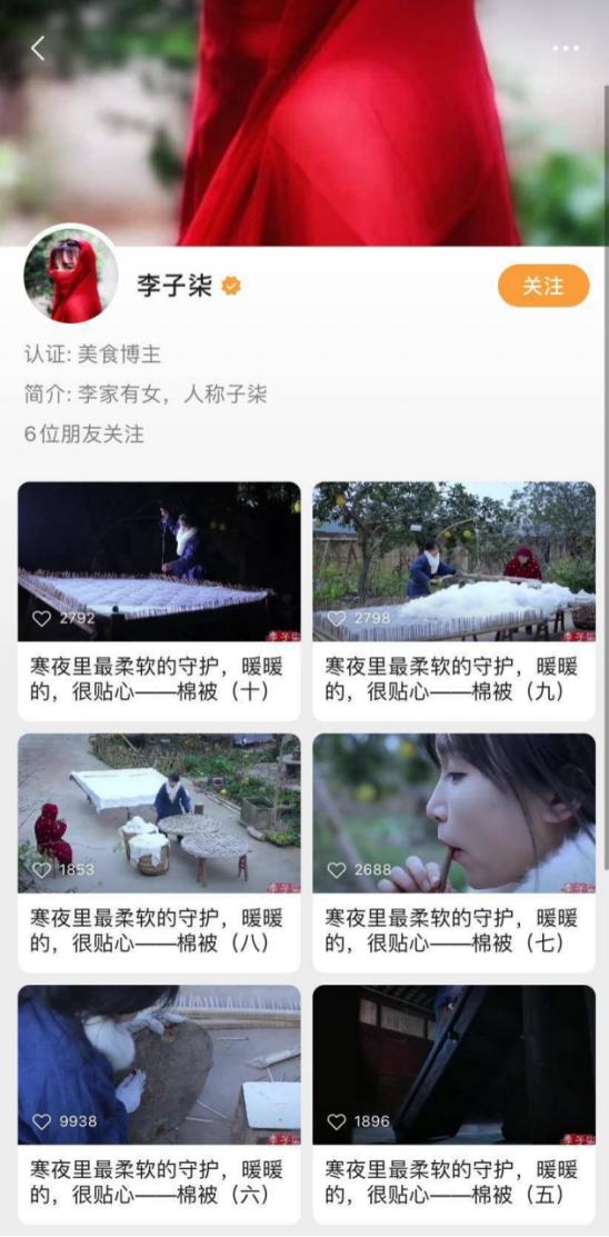 李子柒视频号主页