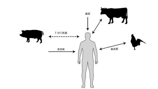 图片改编自参考文献9