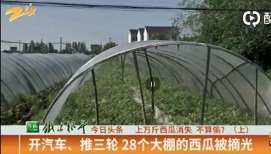 浙江嘉兴平湖,偷瓜者开车偷走万斤西瓜。两位瓜农抓到3人,警察却不予立案,称这不算偷,要求双方自行调解。/小强热线
