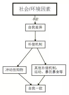 冲动性消费的理论模型