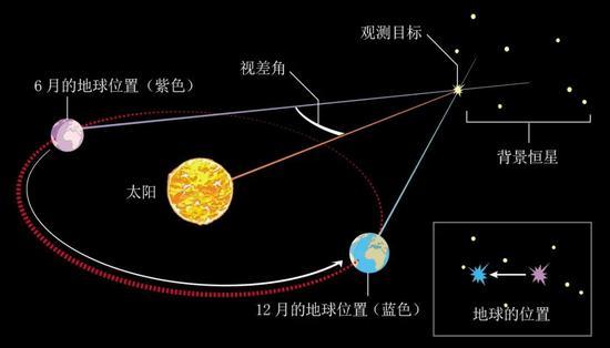 三角视差测距法:天文学家从地球公转轨道的两端分别观测时,恒星在背景天空中的位置会发生偏移,这个偏移被称为视差角,可以用来测量恒星与我们的距离。一颗恒星离地球越近,其视差角就越大。与已知的日地距离相结合,恒星的三角视差使天文学家可以使用基本的三角函数来计算该恒星与地球的距离。| 制图:埃琳娜·哈特利(Elena Hartley)