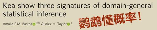 人们对鹦鹉做过的一些研究(图片来源:见参考文献)