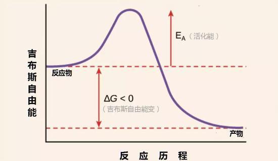 活化能(EA)示意图,虽然从反应物(reactants)到产物(products)之间的吉布斯自由能变(△ G)小于零,反应理论上完全可以发生,但还必须克服活化能(EA)才能发生反应。(图片来源:wiki)