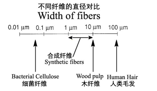 图源:Wikipedia