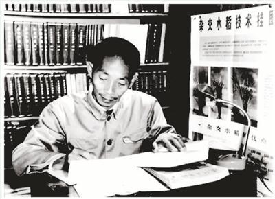 70年代的袁隆平。 (资料照片)