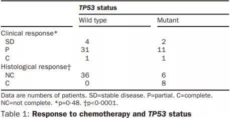 p53结构(上) TP53与化疗效果的关系(下)