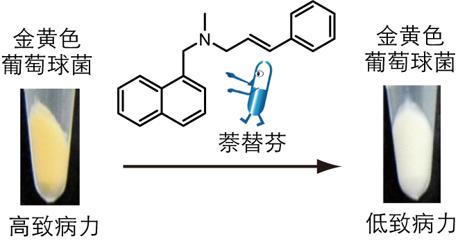 图4:老药盐酸萘替芬抗菌感染是不同于经典抗生素的新机制