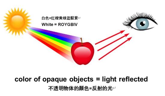 一个均匀不透明的物体,如红苹果,被阳光照射时,其它波长的光被它吸收,反射出的颜色和人眼的生理机制决定了苹果的红色 | Quora,图有改动